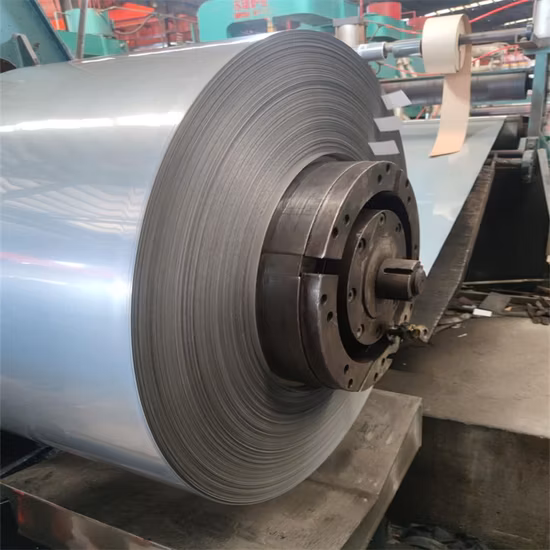 Galvanized/Iron/Corrugated/Roofing/Hot Cold Rolled/Steel Sheet/Strip/Tinplate/Carbon Steel/PPGI/PPGL/Sheet/Plate Building Material 304 316L Stainless Steel Coil